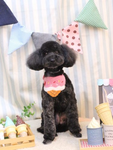 20250531うたちゃん